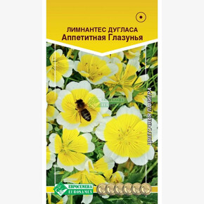 Лимнантес Дугласа АППЕТИТНАЯ ГЛАЗУНЬЯ/ Евросемена