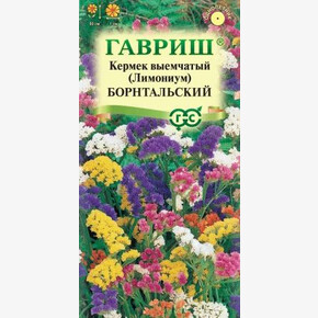 Лимониум Борнтальский /Гавриш