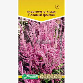 Лимониум статица Розовый Фонтан/ Евросемена