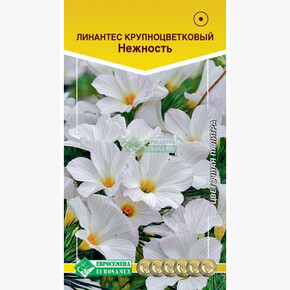 Линантес крупноцветковый Нежность/ Евросемена