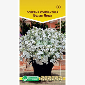 Лобелия БЕЛАЯ ЛЕДИ (0,1 гр) 1114/ Евросемена