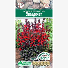 Лобелия ЗВЕЗДОЧЕТ 3 шт/ Евровемена