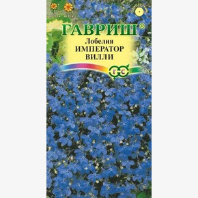 Лобелия Император Вилли/ Гавриш
