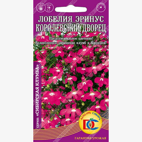 Лобелия Королевский Дворец /0,02 гр Дем Сиб/