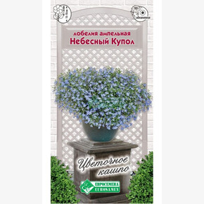 Лобелия НЕБЕСНЫЙ КУПОЛ 0,1 гр/ Евросемена