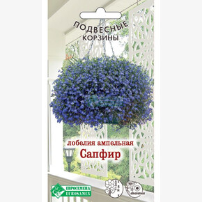 Лобелия Сапфир/ Евросемена