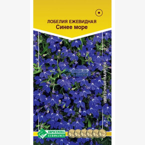 Лобелия СИНЕЕ МОРЕ 0,01 гр/ Евросемена