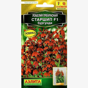 Лобелия Старшип бургунди / Аэлита