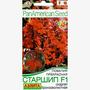 Лобелия Старшип скарлет 5шт/ Аэлита