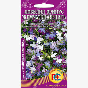 Лобелия Эринус Жемчужная Нить/ Деметра №2