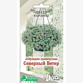 Лобулярия СЕВЕРНЫЙ ВЕТЕР приморская 0,01 гр/ Евросемена