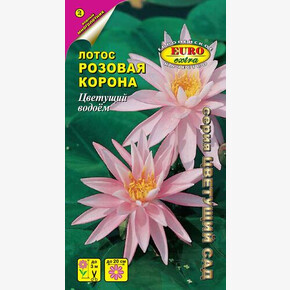 Лотос Розовая Корона 2шт/ Аэлита Экстра