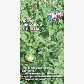 Лофант анисовый снежок /Седек