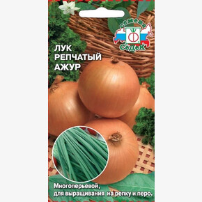 лук Ажур/ Седек