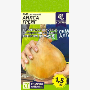 Лук Айлса Грейг/ Семена Алтая 0,2 гр.!