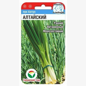 Лук Алтайский батун/ Сибсад