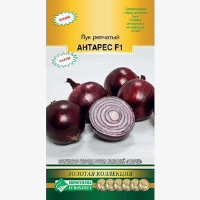 Лук АНТАРЕС 0,3 гр/ Евросемена