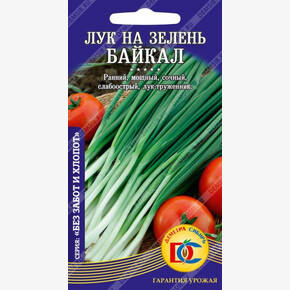 лук Байкал /0,3 гр Дем Сиб/