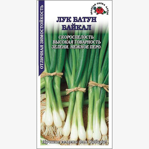 Лук Байкал /Сотка/ 1 г/ раннесп.