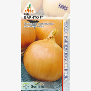 Лук Барито F1 200шт* Seminis, Франция, ср/р/ Агрос