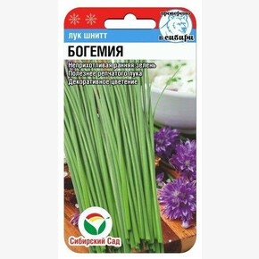 Лук Богемия 0,5г Сиб Сад