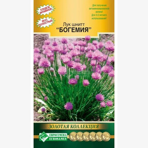 Лук БОГЕМИЯ 0,5гр/ Евросемена