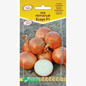 Лук ЕСАУЛ 0,3 гр/ Евросемена