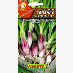 Лук Зеленая Полянка/ Аэлита
