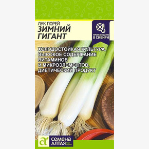 Лук Зимний Гигант/Сем Алт/цп 1 гр.