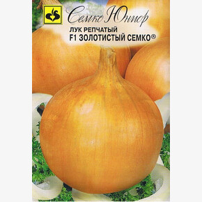 Лук Золотистый Семко/ Семко