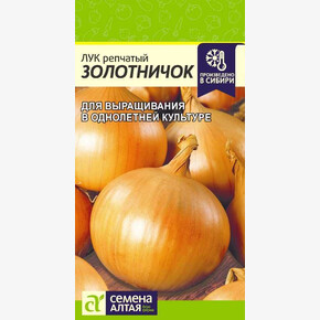 Лук Золотничок/ Семена Алтая 0,5 гр.!