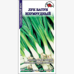 Лук Изумрудный Батун /Сотка/ 1 г