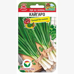 Лук Кайгаро 100шт Сиб Сад