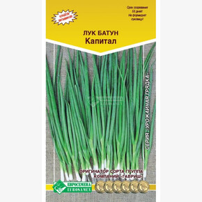 Лук КАПИТАЛ 0,5 гр/ Евросемена