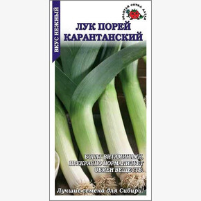 Лук Карантанский/ Сотка