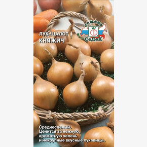 Лук Княжич/ Седек