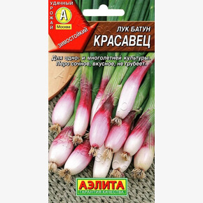 Лук Красавец батун/ Аэлита