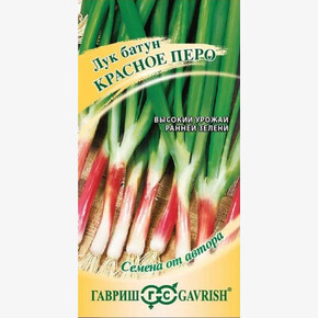 лук Красное перо на зелень/ Гавриш