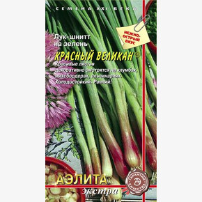 Лук Красный Великан 0,2г/ Аэлита Экстра