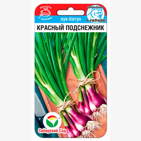 Лук Красный подснежник 0,5гр/ Сибсад