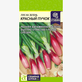 Лук Красный Пучок/Семена Алтая/цп 0,3 гр