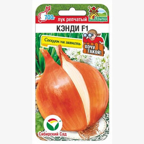 Лук Кэнди 60шт/ Сибсад