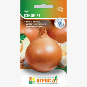 лук Кэнди F1