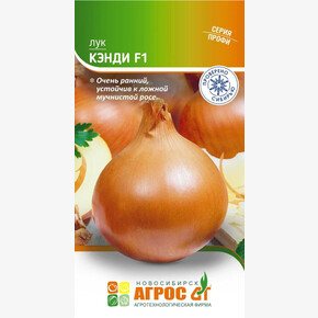 Лук Кэнди F1 200шт* Seminis, Италия, ран./ Агрос