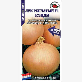 Лук Кэнди/ Сотка 0,2гр