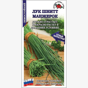 Лук Манжерок /Сотка/ 0,3г/*1200