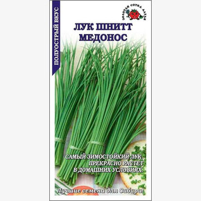 Лук Медонос /Сотка/ 0,3г/ до 40см/*1200