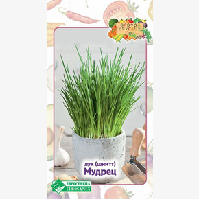 Лук МУДРЕЦ 0,3 гр/ Евросемена