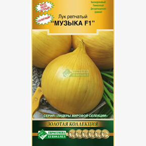 Лук Музыка/ Евросемена