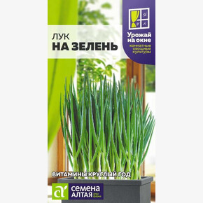 Лук на Зелень/ Семена Алтая 0,5 гр. УРОЖАЙ НА ОКНЕ!